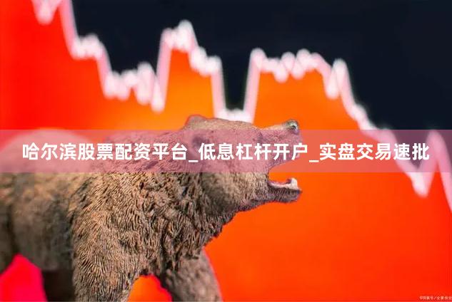 哈尔滨股票配资平台_低息杠杆开户_实盘交易速批